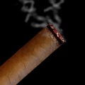 vCigar-������Ϸ