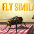 FlySimulator