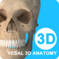 ά3D