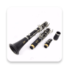 ClarinetVirtualReal