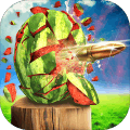 WatermelonShoote