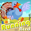 RunningBirdRio2