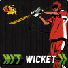 HitWicketCricket