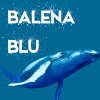 BalenaBlu