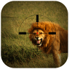 LionHuntinginJun