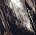 ħ޵ͼʬzombie1.3ʽ 