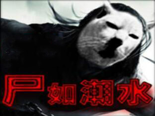 ʬ糱ˮv6.5ʽ Ӣ