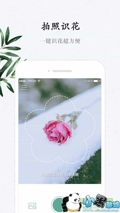识花君软件 识花君小程序app