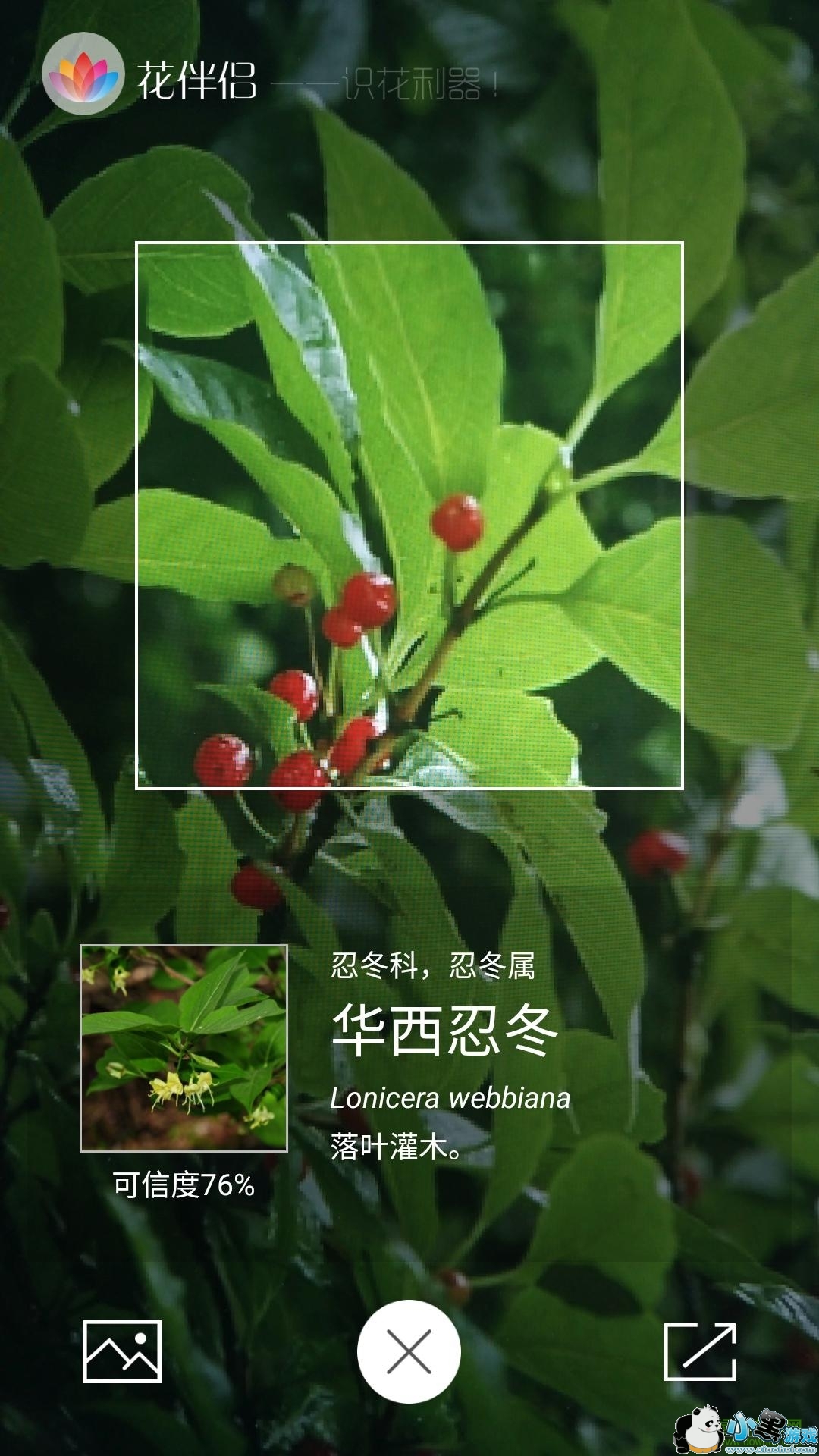 花伴侣识花软件苹果版 花伴侣识花软件ios版