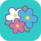 Ѱ(ֳ) v1.0 ׿