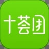 ʮapp