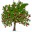 windirstatİ v1.1.2 °