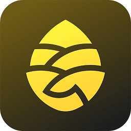 �ɹ����е絥