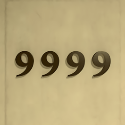 9999Ϸ