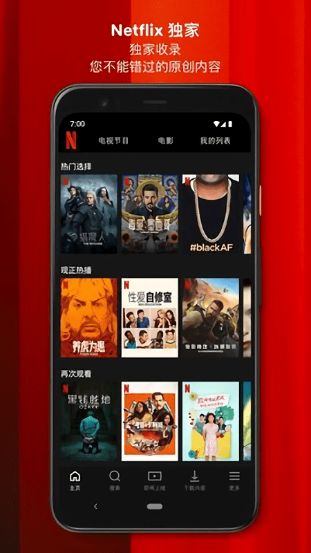 netflixapp