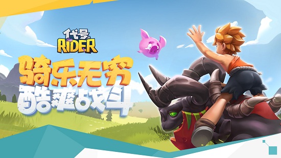 riderװ